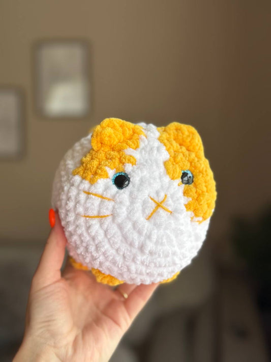 Katze