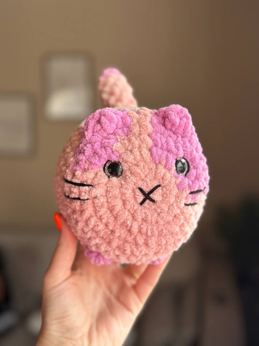 Katze