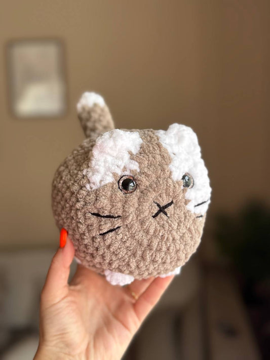 Katze