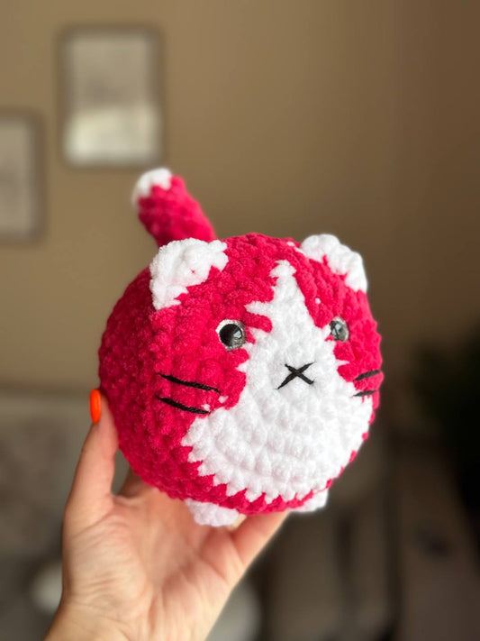 Katze