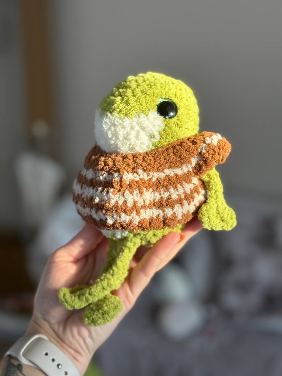 Frosch im Pullover