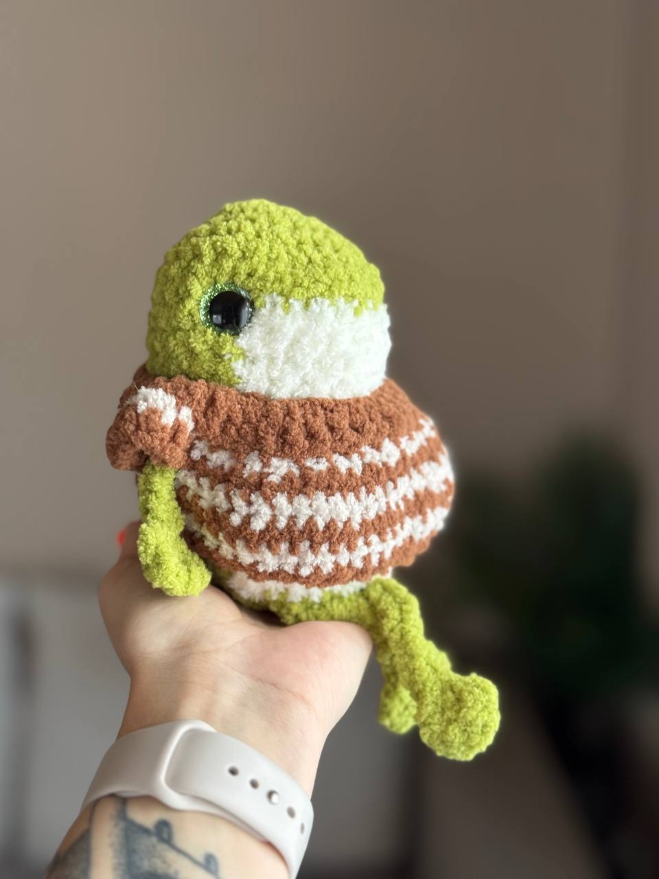 Frosch im Pullover