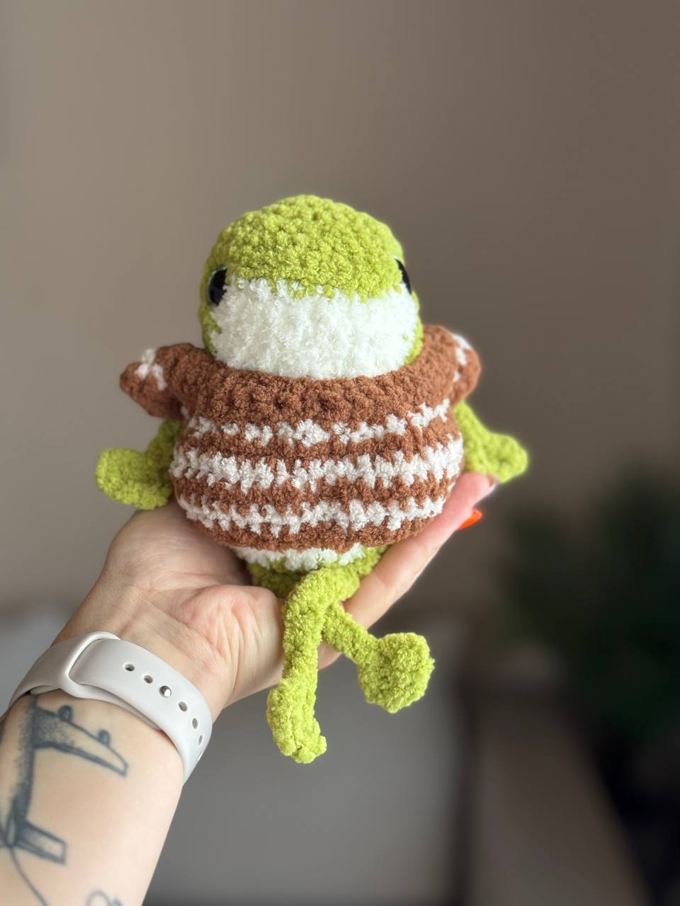 Frosch im Pullover