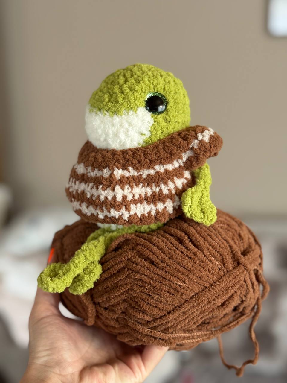 Frosch im Pullover