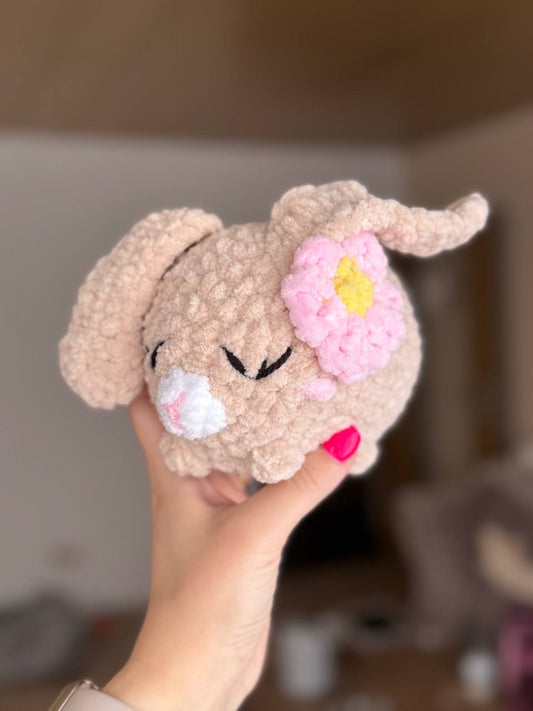 Hase